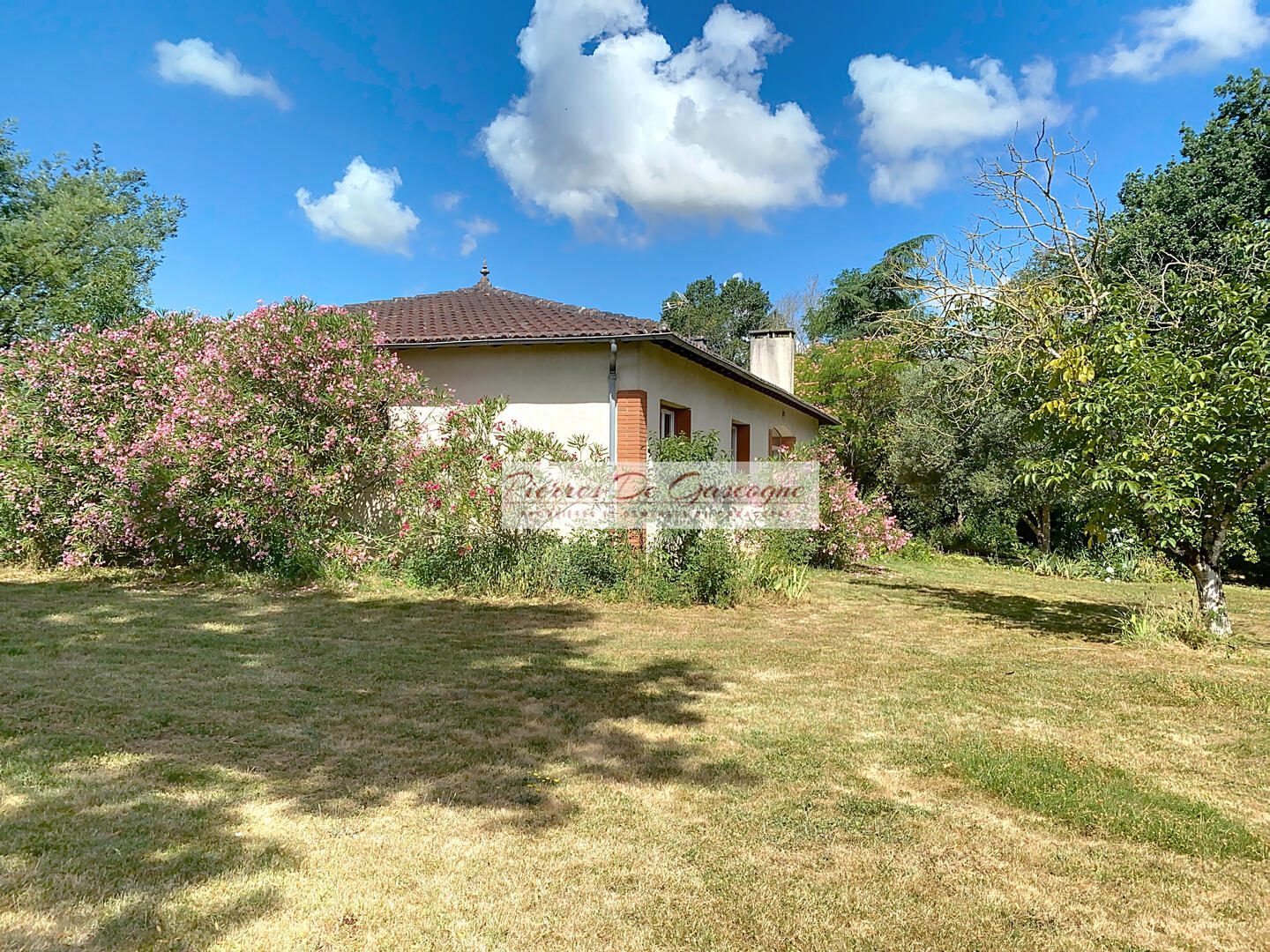 Charmante maison de plain-pied sur site dominant : un véritable havre de paix